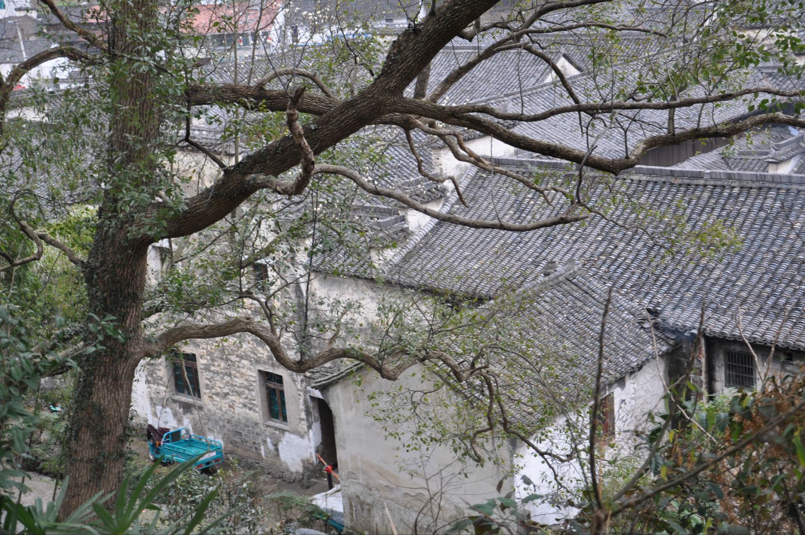 清代巨宅千柱屋位于浙江省绍兴市诸暨市斯家宅乡螽斯村,建于清代