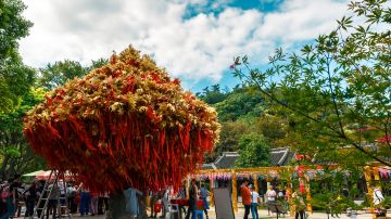 狼山风景区1