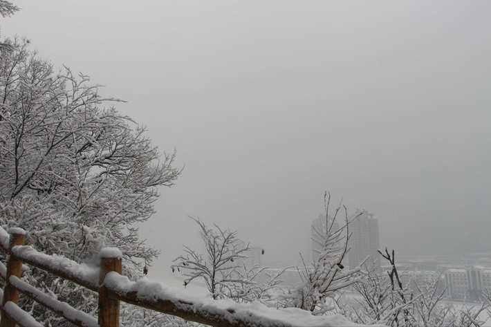 有雪才是冬天--2015哈尔滨、通化 - 哈尔滨游记