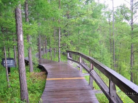 池边的栈道在密林中蜿蜒回绕,也成为一处独特的景观. 地池