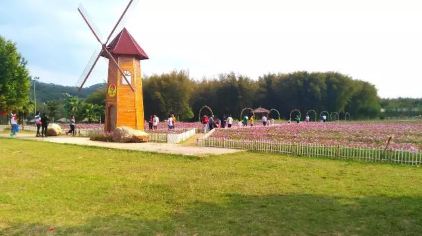 ʯ��ɽ��ɣ�� (5)