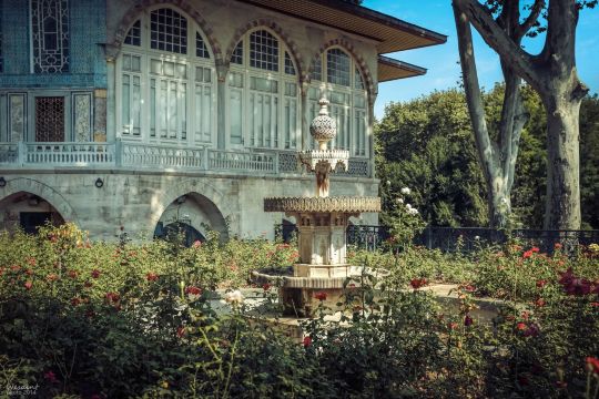 八月土耳其[iii]伊斯坦布尔