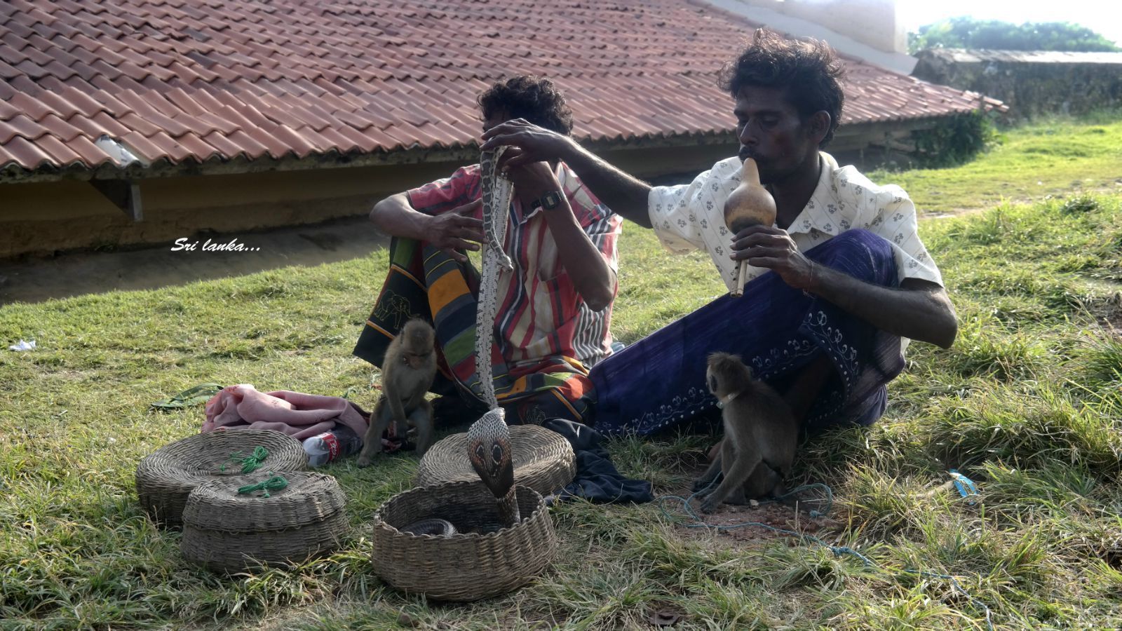 耍蛇人,很有印度风格,他们训练的可是资格的眼镜蛇哦 加勒