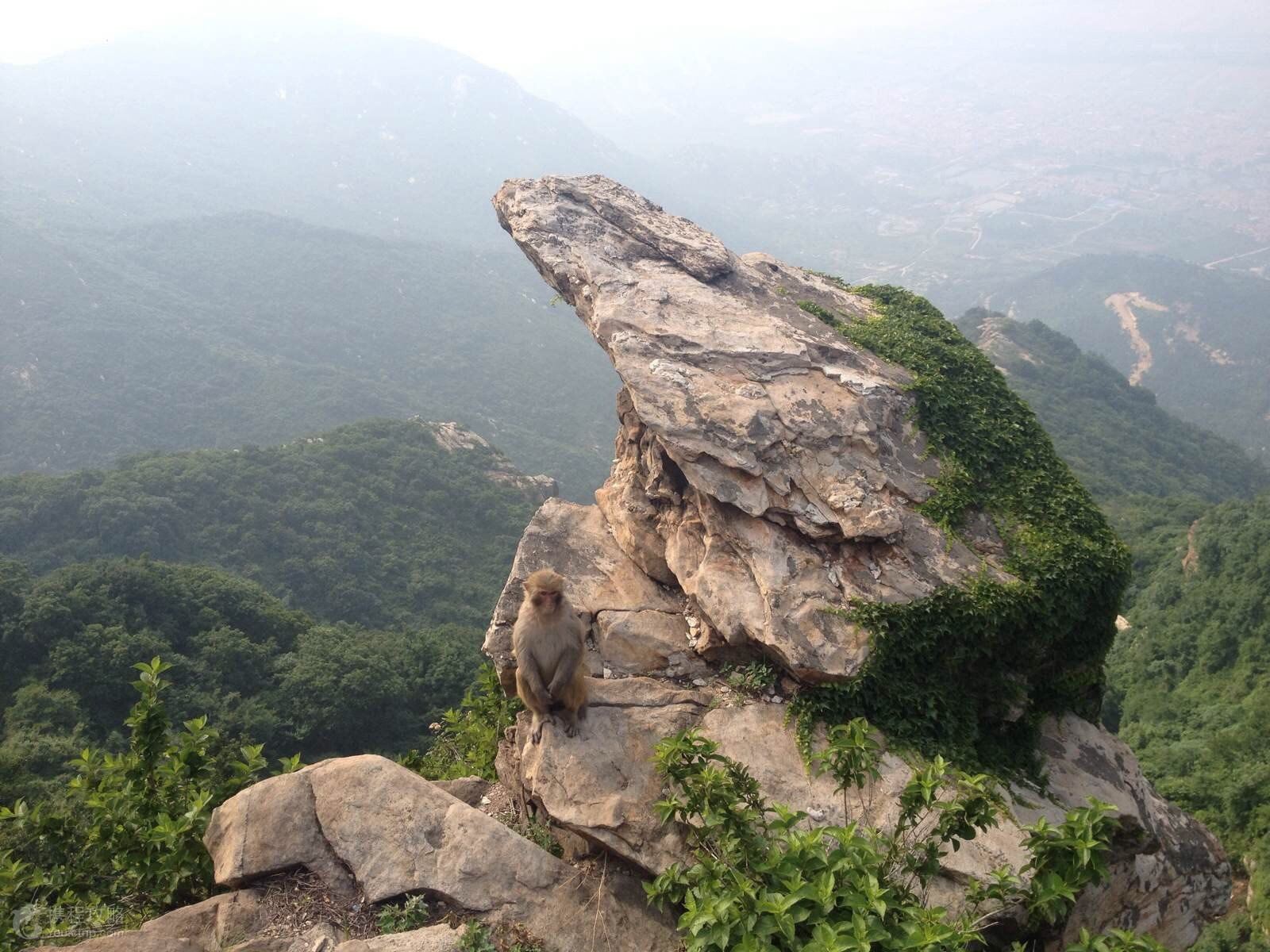 鑲嵌在我國18000公里海岸線的臍部,因古典名著《西遊記》(花果山)而