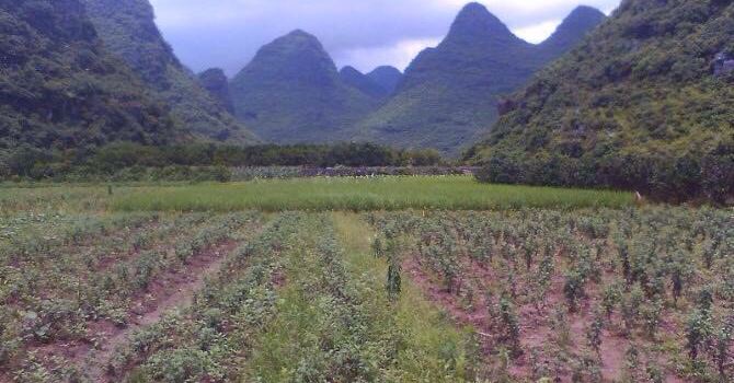 2019恭城旅游攻略,5月恭城自助游\/周边自驾\/出