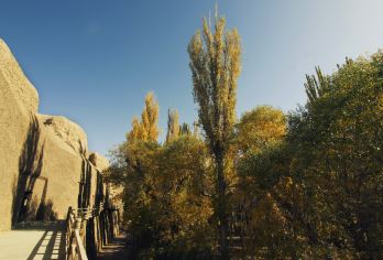 榆林窟+西千佛洞一日游【敦煌石窟艺术 免费接送站】【避开莫高窟的拥堵，慢游石窟艺术！】