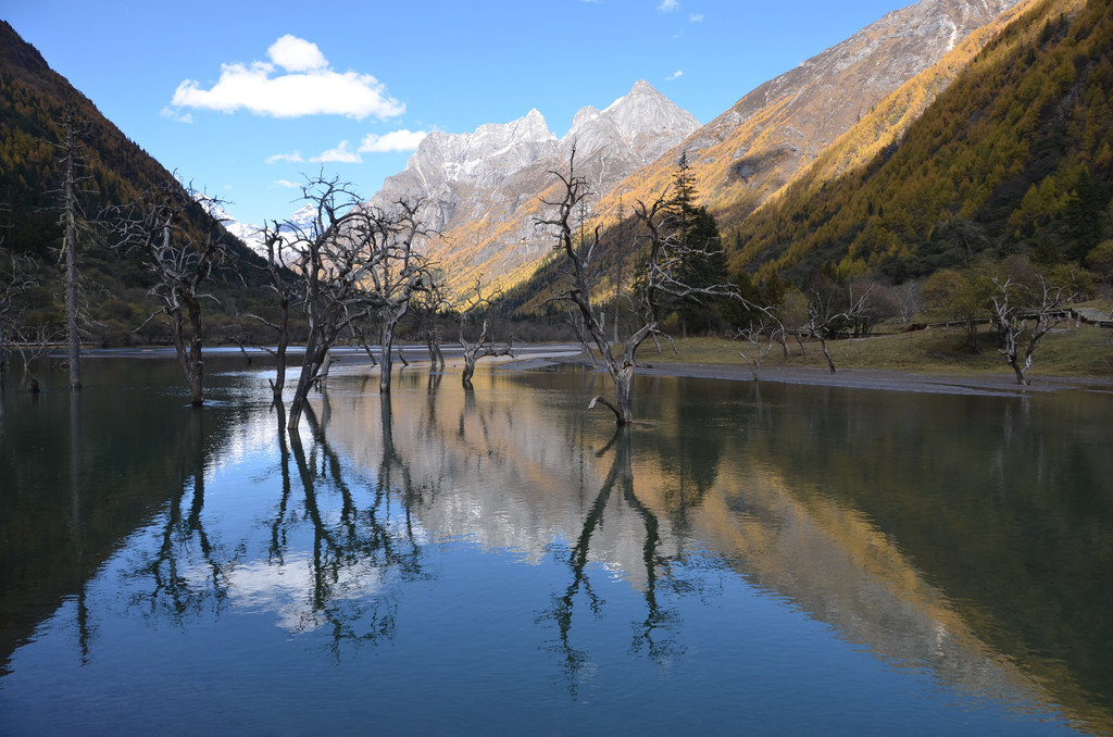 徒步長坪溝,海子溝,雙橋溝. 四姑娘山(吃,住,行,遊)全攻略.