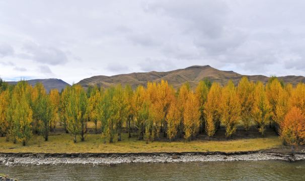  p class="inset-p">" /p> p class="inset-p">傍河与色拉位于