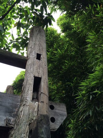 文殊院中寻菩提,宽窄巷子踏梦来,杜甫草堂听竹声 杜甫草堂