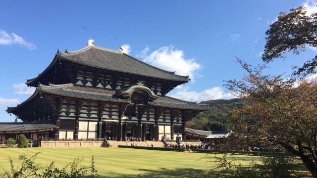 東大寺大佛殿門票,奈良東大寺大佛殿攻略/地址/圖片/門票價格【攜程