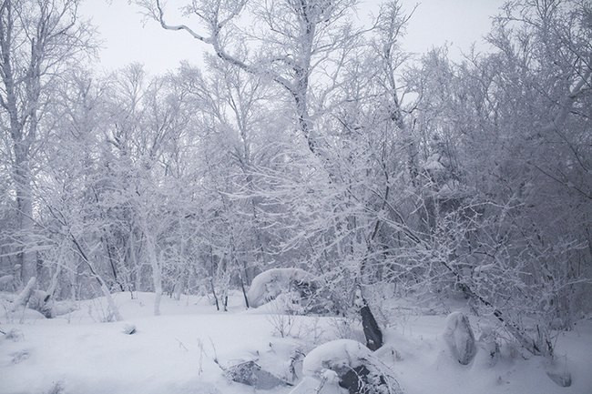 北方什么时候停雪 CggYHFaOHHeAWxT3AAFb_PzSSjI483_R_1024_10000_Q90.jpg