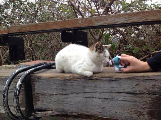 【一旬半湾】记14.2.07~14.2.16台湾游