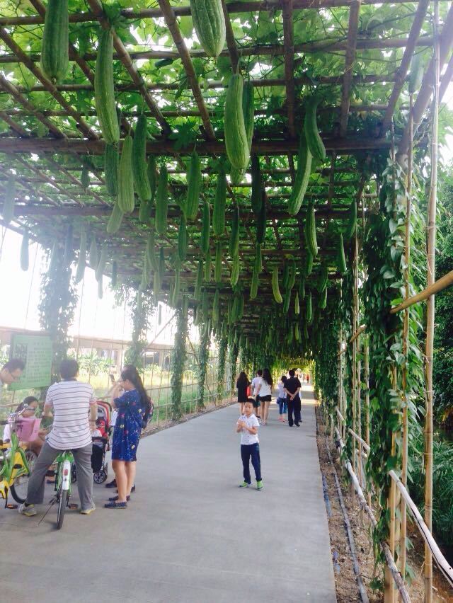 大稳村展览馆