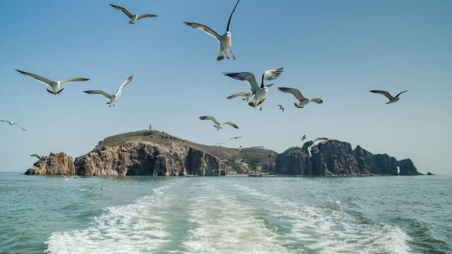 海驢島門票,榮成海驢島攻略/地址/圖片/門票價格【攜程攻略】