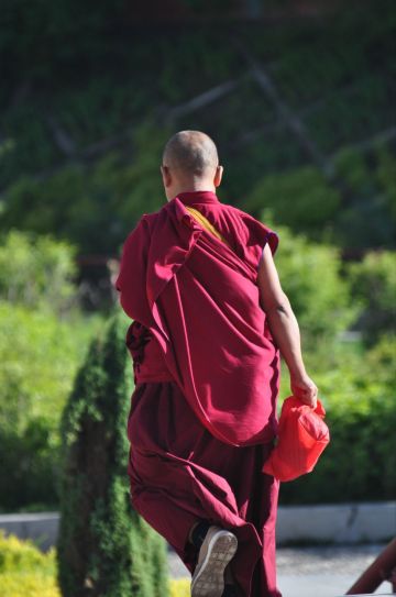 沙坡头,青海湖浮生七日