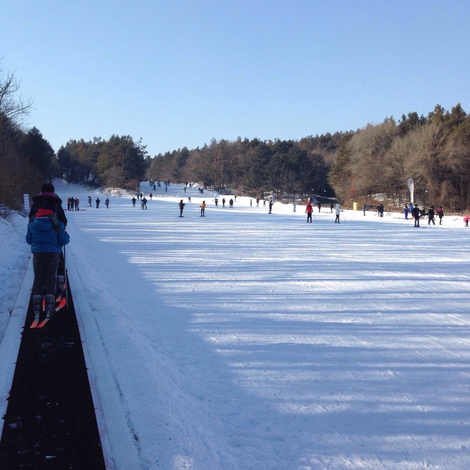 净月潭滑雪场是长春最大的滑雪场,位于净月潭公园内,要先买公园门票