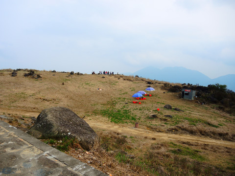 采茶季,到凤凰山品茶露营观日出吧!【附潮州古城吃喝玩乐攻略】