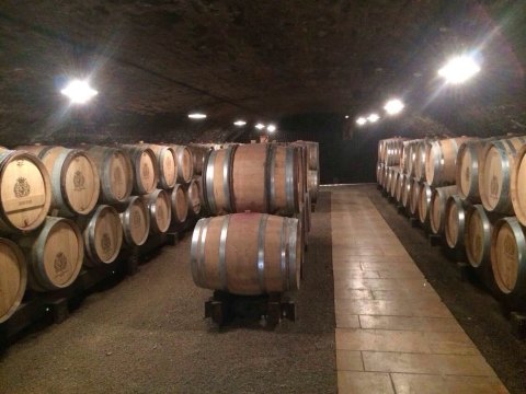 酒经过初榨后要进橡木桶2年才能装瓶哦～ pommard酒庄