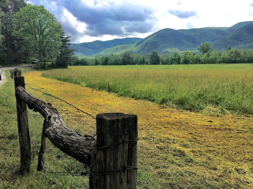 15 大雾山 田纳西州游记攻略 携程攻略