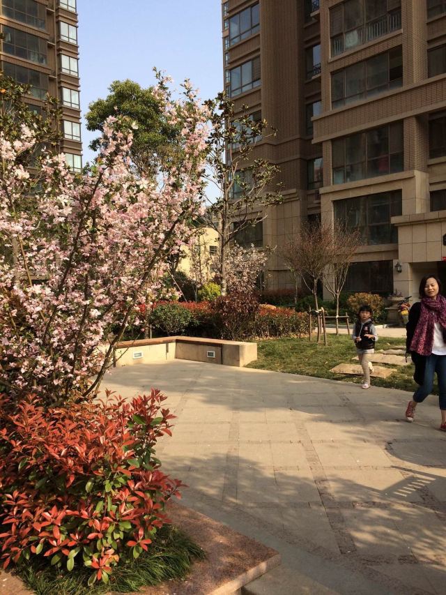 花果山小区有多少人口_南山花果山小区vr全景