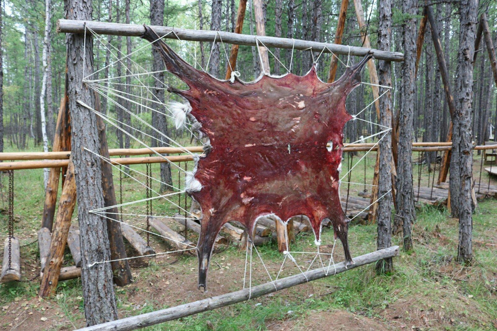 情系呼伦·草原上的独行者 - 呼伦贝尔游记攻略【携程攻略】