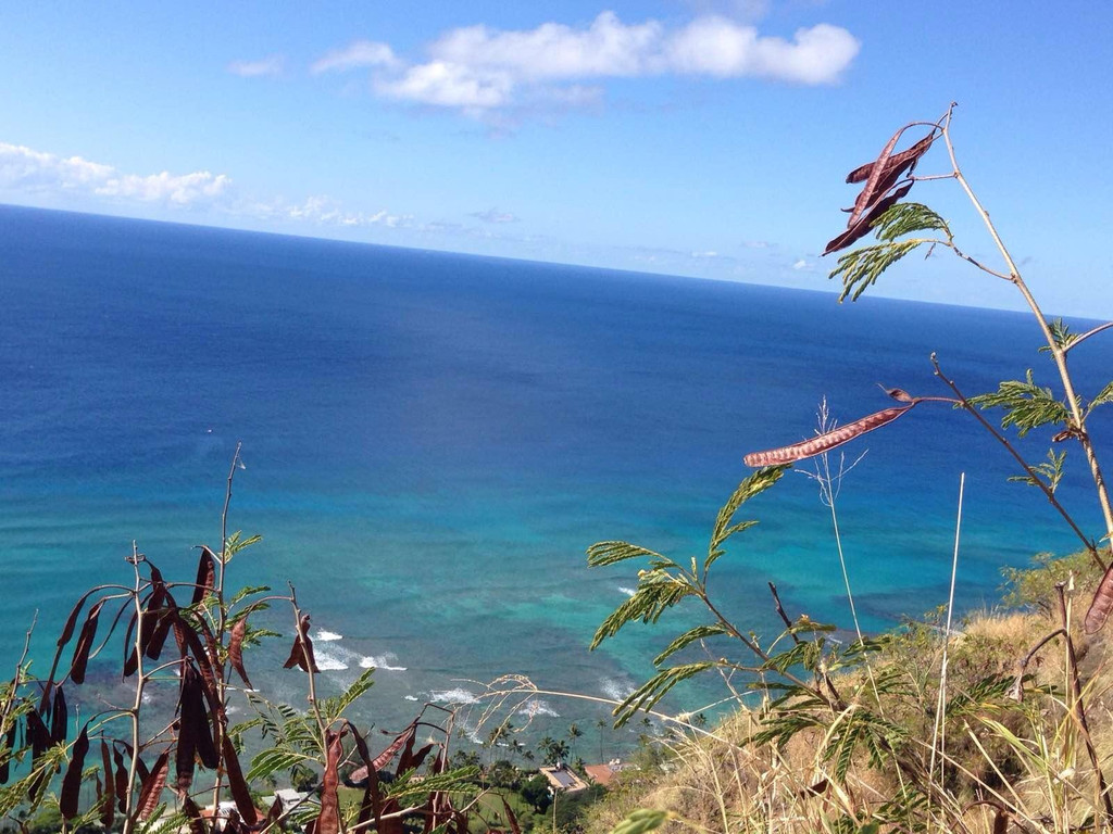 美國之行夏威夷群島之歐胡島