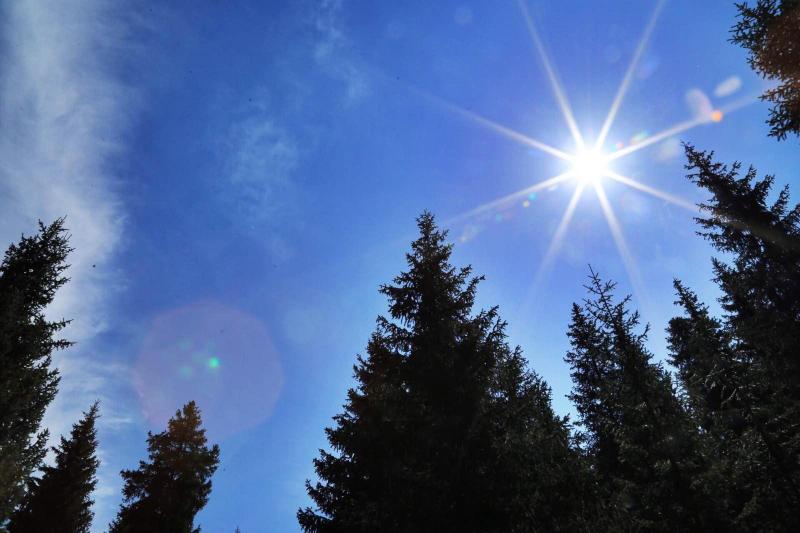 紫外线在生活中的应用有哪些