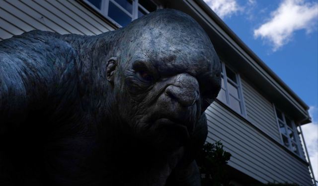 二月新西兰 - 奥克兰游记攻略