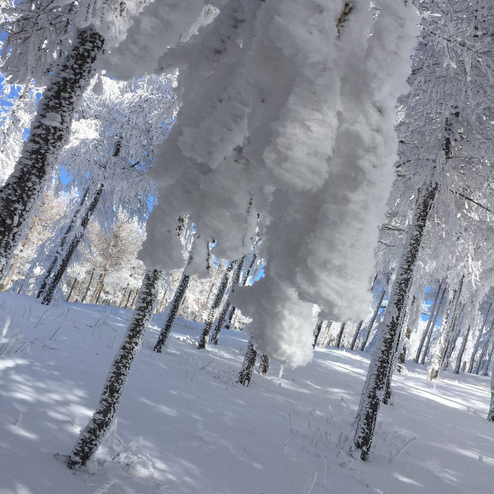 新雪国 张家口崇礼县之万龙滑雪场 崇礼区游记攻略 携程攻略