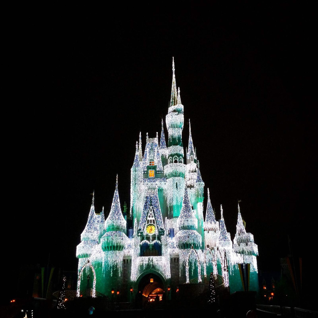 奥兰多迪士尼奇幻王国                      