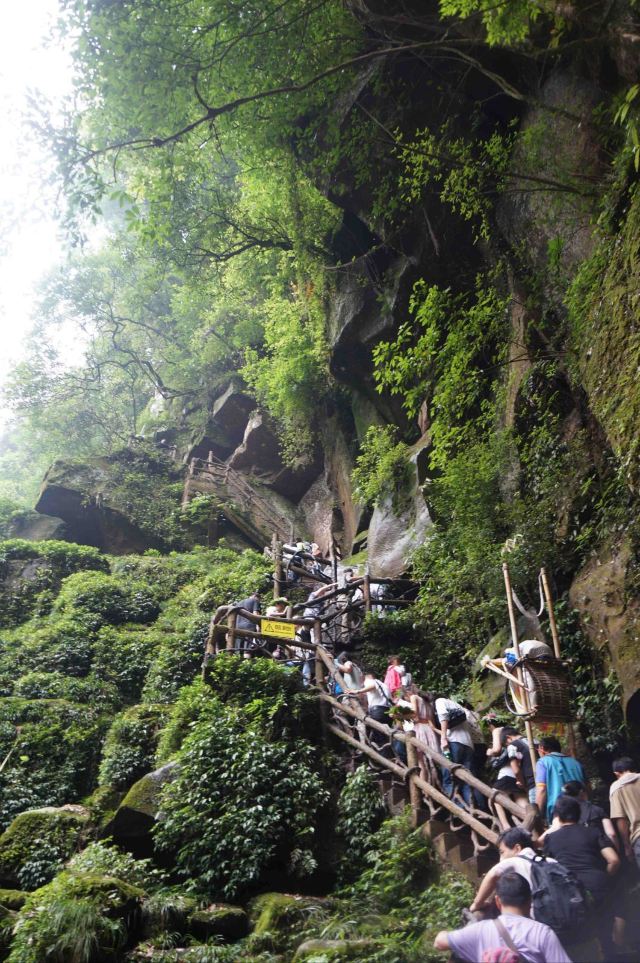 碧峰峡风景区