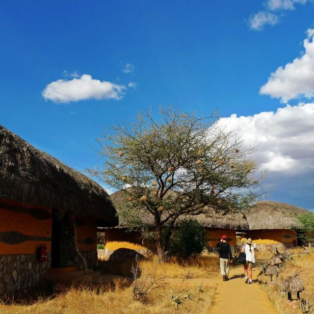 大型国家公园看不到的动物,  也就是所谓的special five:  索马里鸵鸟