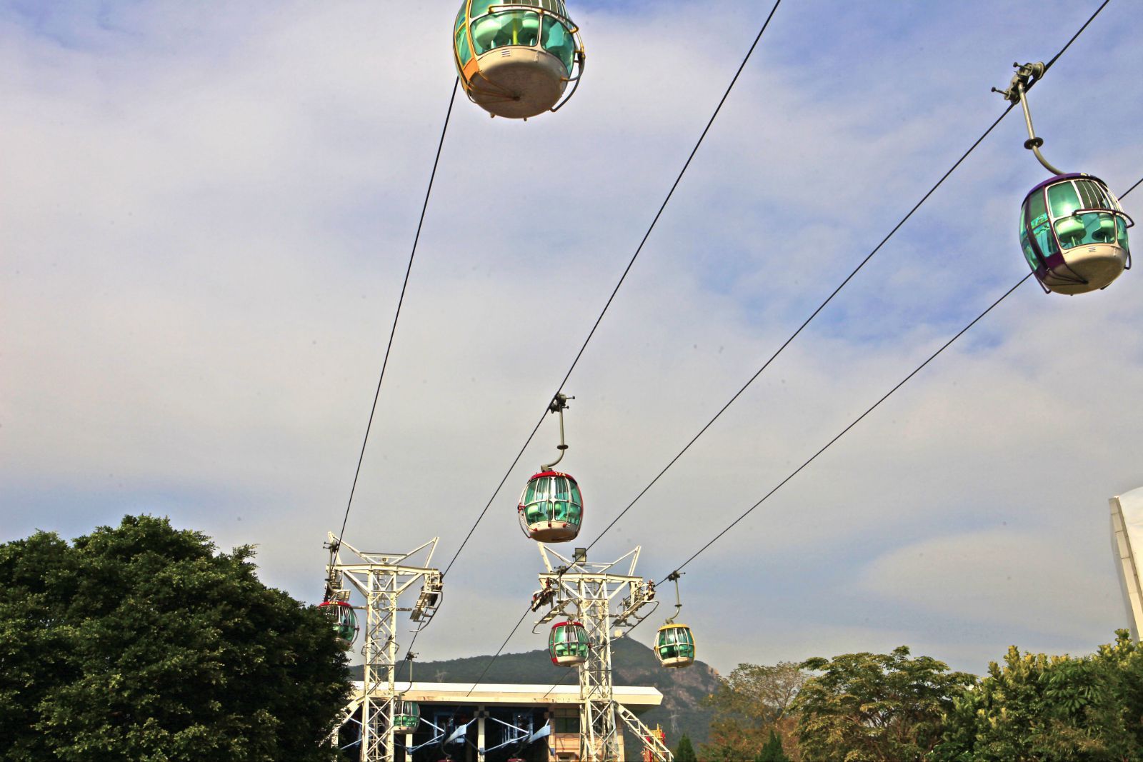 以前到海洋公园的时候还没有小火车坐,都是做缆车到高处的游览区.