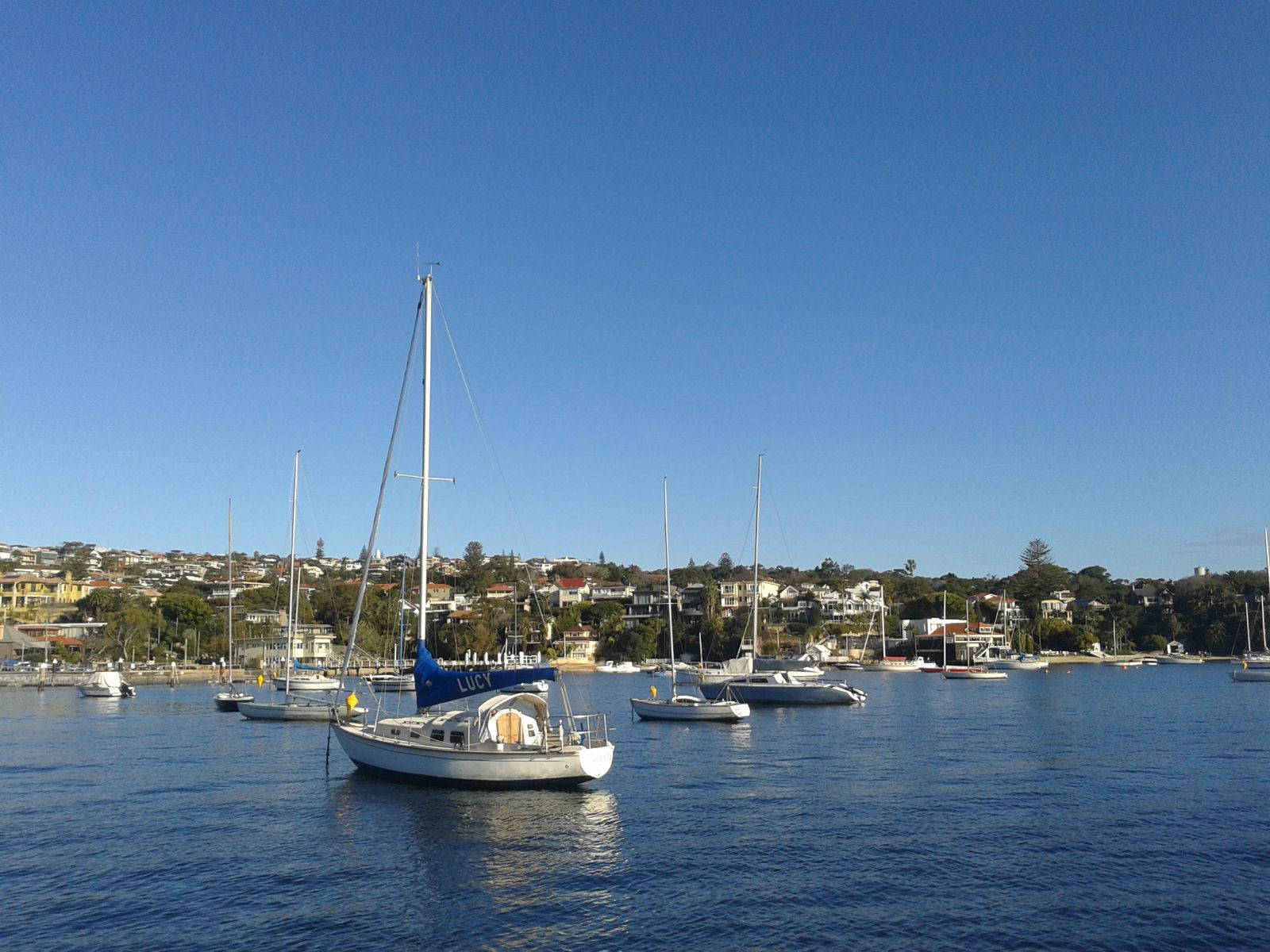 非正常布里斯班-悉尼十日