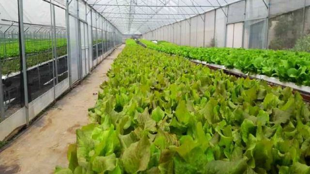 顺德鱼果生态园门票,佛山顺德鱼果生态园攻略/地址/图片/门票价格