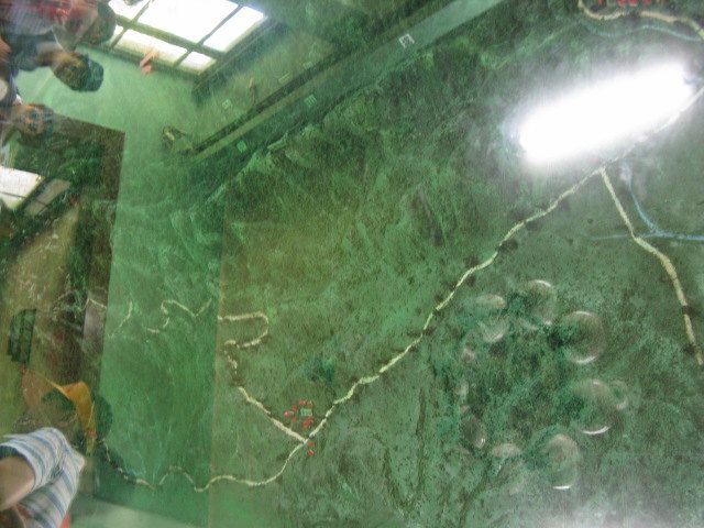 CggYr1cz8x2AIU9CAAE5GN1gSbw487.jpg