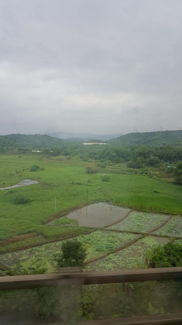 坐在高鐵上看著窗外的風景,滿目翠綠,心情好爽!