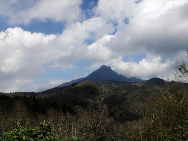 我在寒冷的冬季裡豔陽如春 ——海南五指山熱帶雨林,保亭溫泉自駕兩