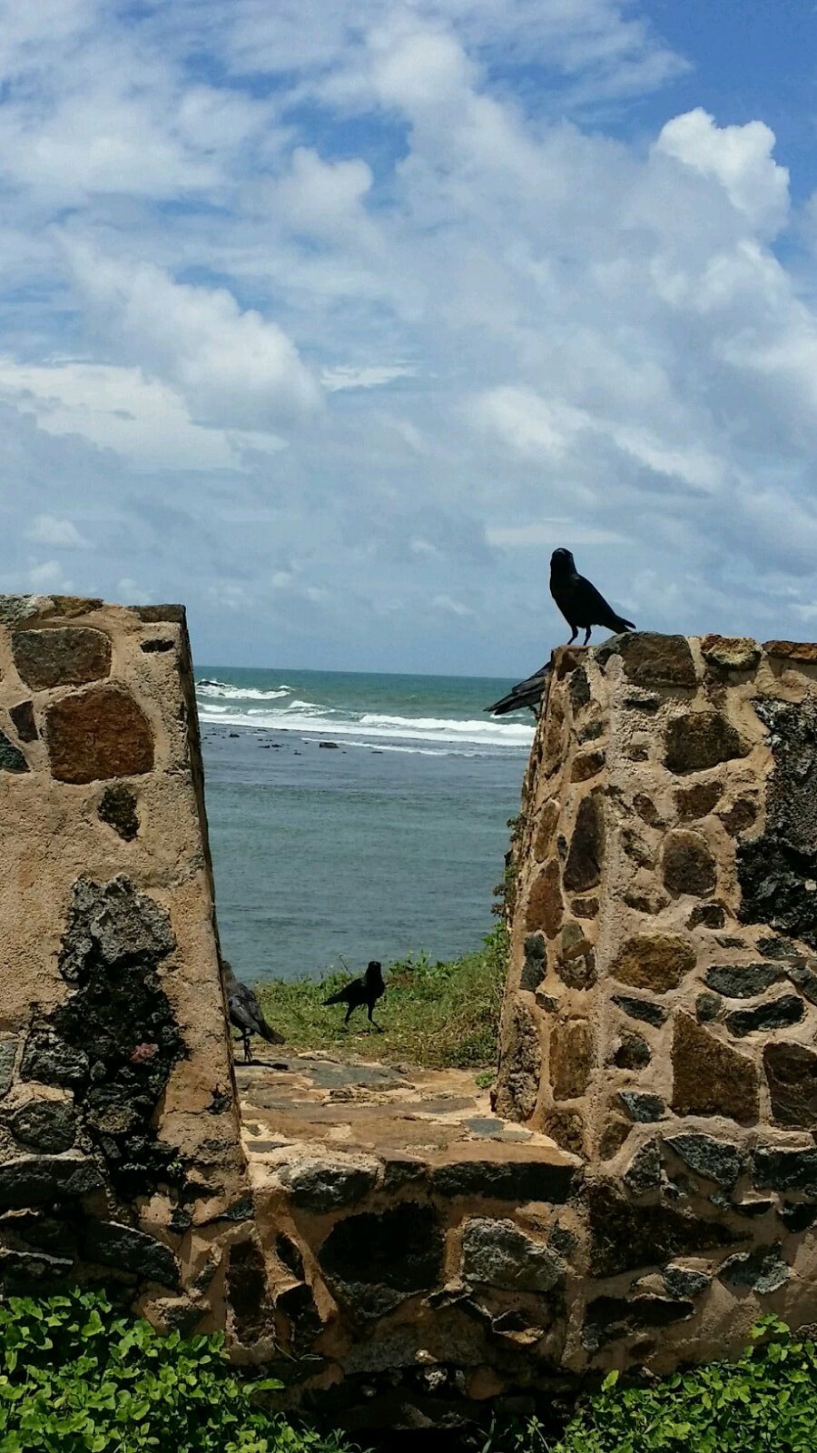 虚度时光在兰卡sri lanka