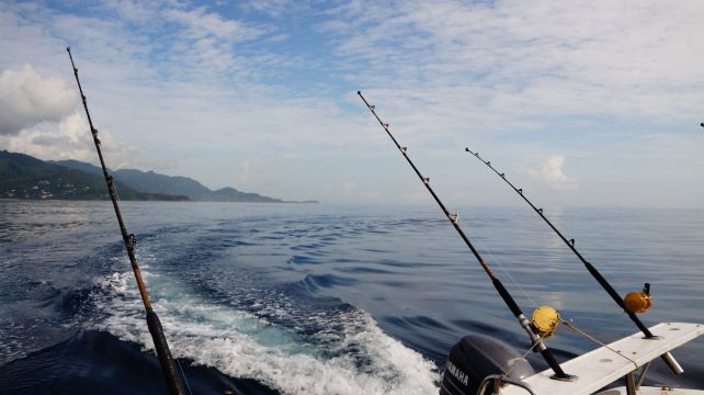 厉害的是,9根钩不会纠缠在一块. 海钓