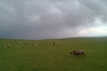 塞外江南指的是什么牧区 CggYs1bONTiAfymQAAHe3VJnm5Q233_C_350_234_Q90.jpg