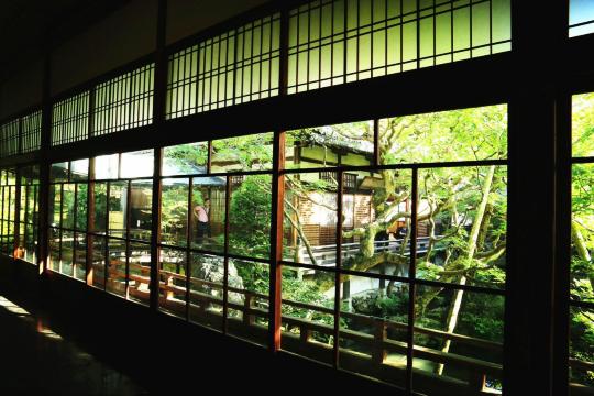 红叶季的话这景会更美 京都永观堂禅林寺