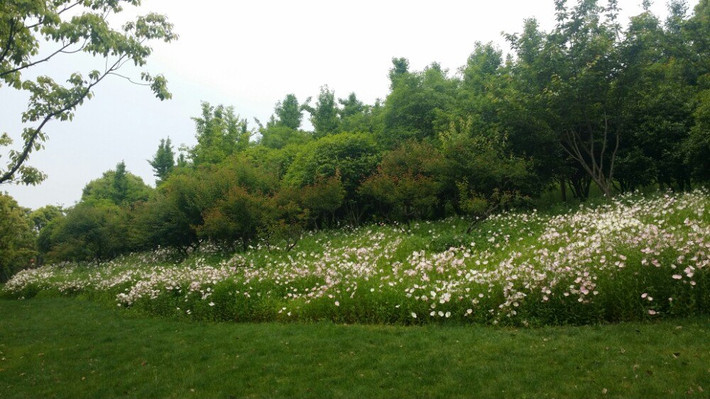 金匮公园 - 无锡游记攻略