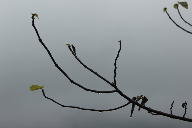 超爽自由行(2),畅游南宁、兴义、元阳、瑞丽、