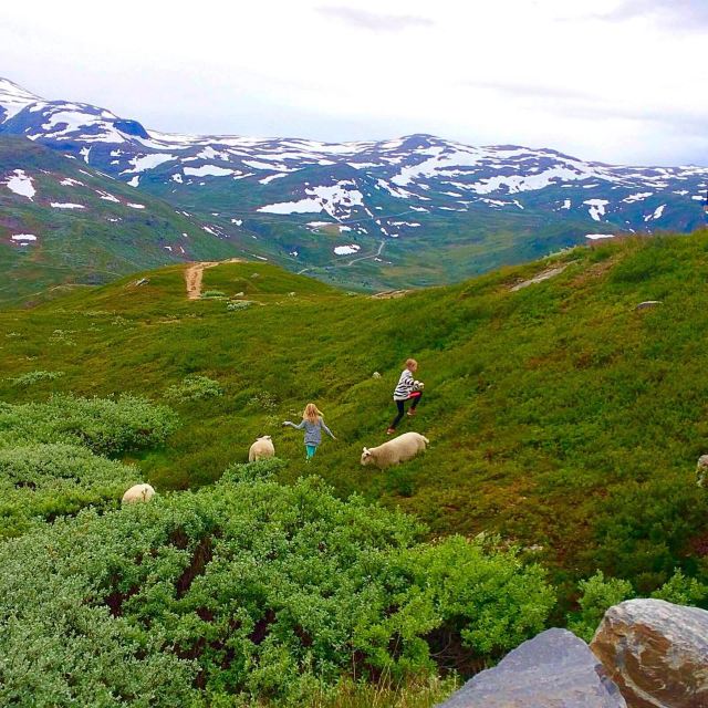 雄踞於尤通黑門山(jotunheimen)上,穿行於松恩峽灣與居德布蘭德斯古