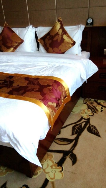 套房设施一点不逊色于昆明,床品地毯非常漂亮,满意! 拉萨贡嘎机场