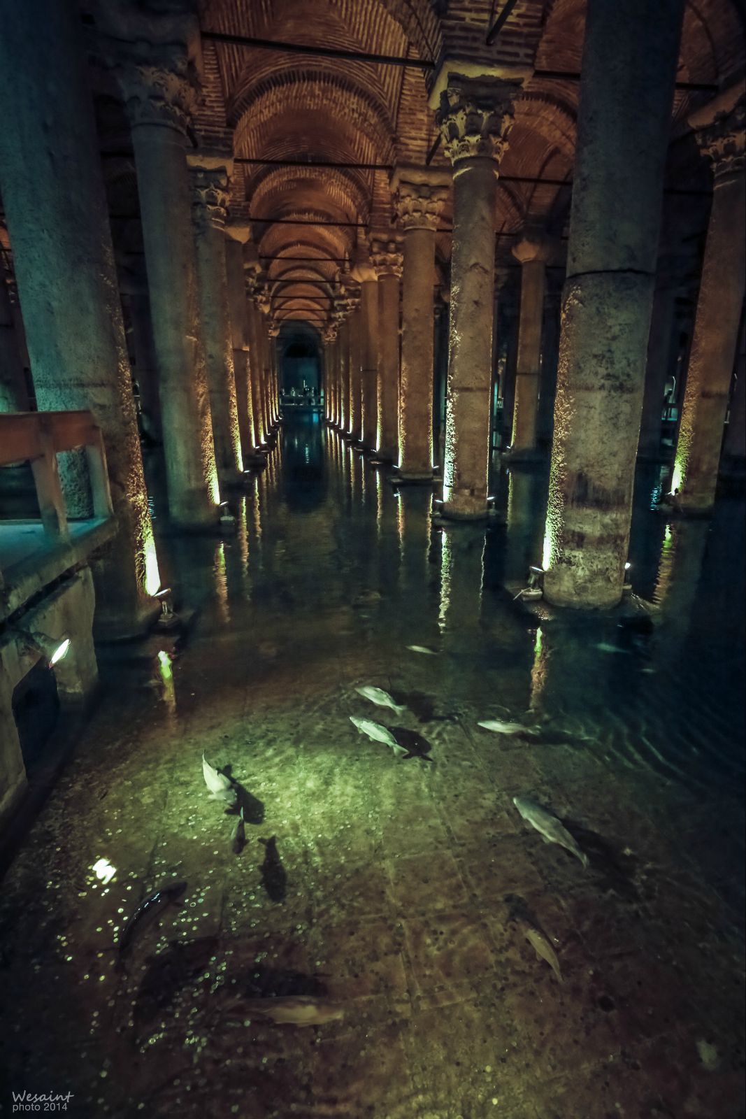 地下水宫里密布着数量众多的石柱和拱券,其下的水池中游弋着硕大的