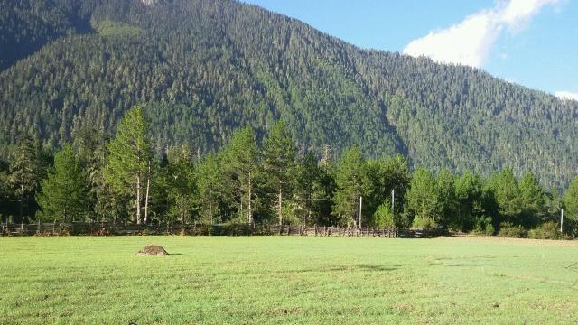 在青藏高原之上