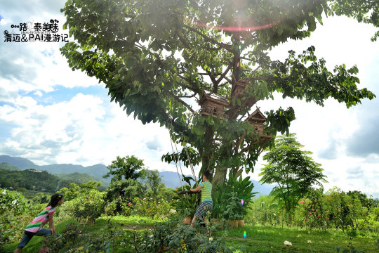 微缩版的树屋,两个小朋友在树下玩起了荡秋千. pai treehouse