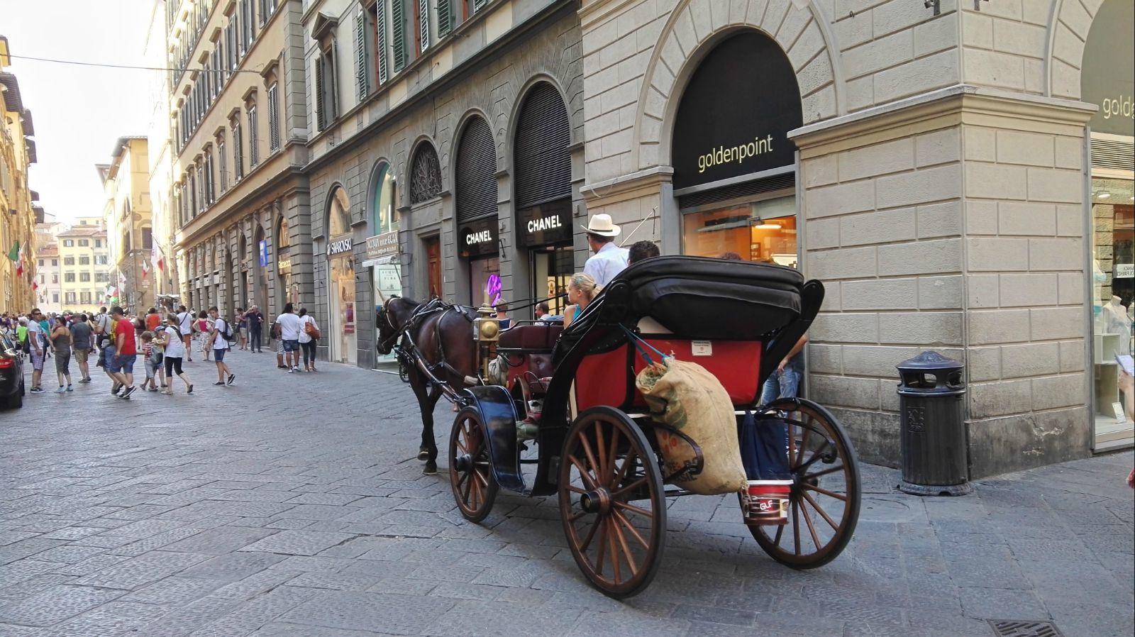 马车哦,在这里很常见 佛罗伦萨市政厅广场